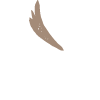 wing